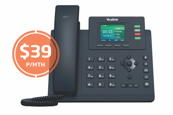 netphone-biz-t33g-071020