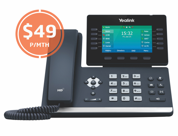 netphone-biz-t54w-071020