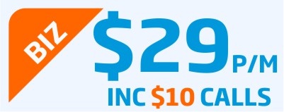 netphone-plan29-031017 netphone-plan29-031017