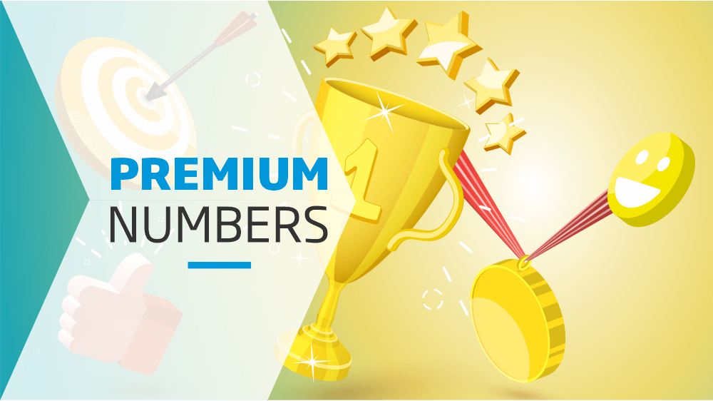 business1300-number-options-premium-numbers-221222