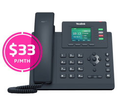 businesscom-netphone-biz-t33g-121022