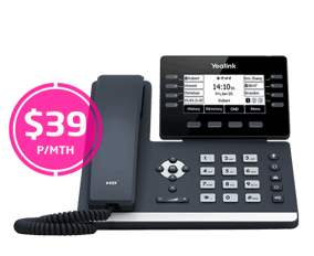 businesscom-netphone-biz-t53w-121022