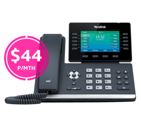 businesscom-netphone-biz-t54w-121022