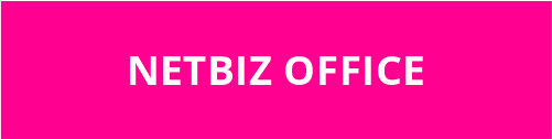 business1300-netphone-pricing-1-181122